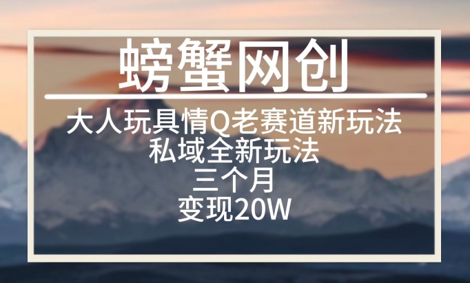 大人玩具情Q用品赛道私域全新玩法，三个月变现20W，老项目新思路-紫爵资源库