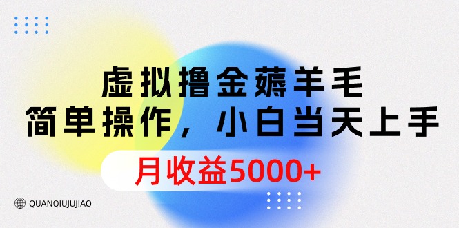 虚拟撸金薅羊毛，简单操作，小白当天上手，月收益5000+-紫爵资源库