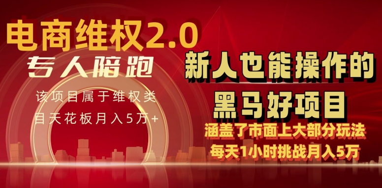 电商维权 4.0 如何做到月入 5 万+每天 1 小时新人也能快速上手【仅揭秘】-紫爵资源库