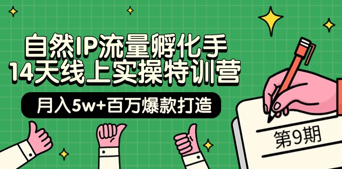 自然IP流量孵化手 14天线上实操特训营【第9期】月入5w+百万爆款打造 (74节)-紫爵资源库