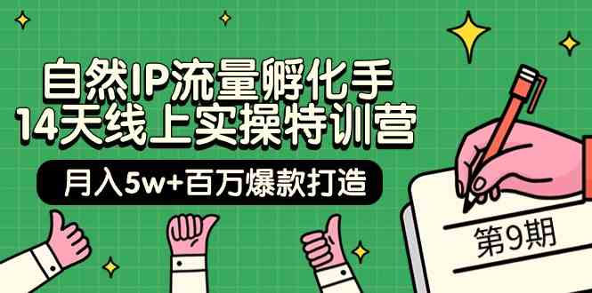 自然IP流量孵化手14天线上实操特训营【第9期】月入5w+百万爆款打造 (74节)-紫爵资源库