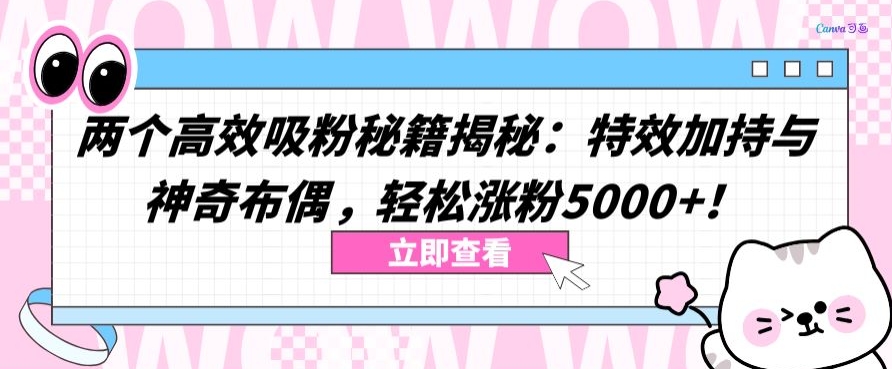 两个高效吸粉秘籍揭秘：特效加持与神奇布偶，轻松涨粉5000+-紫爵资源库