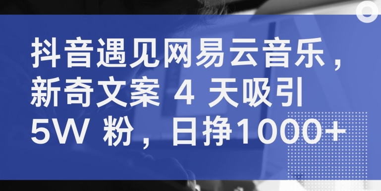 抖音遇见网易云音乐，新奇文案 4 天吸引 5W 粉，日挣1000+-紫爵资源库