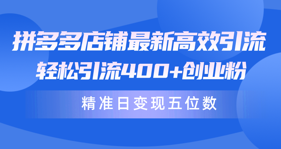 拼多多店铺最新高效引流术，轻松引流400+创业粉，精准日变现五位数！-紫爵资源库