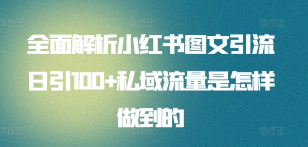 全面解析小红书图文引流日引100+私域流量是怎样做到的-紫爵资源库