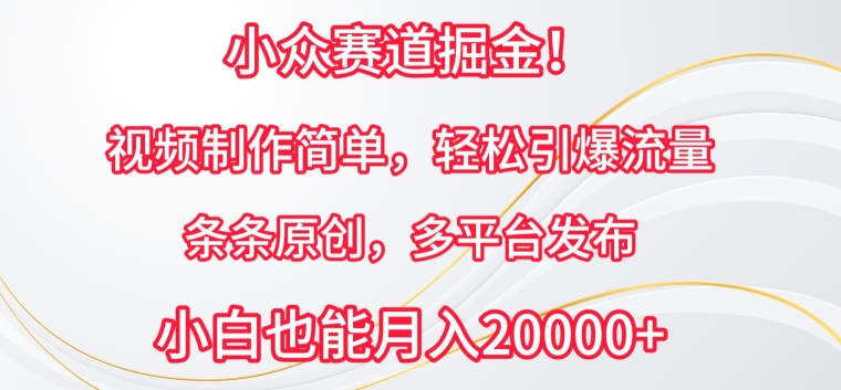 小众赛道掘金，视频制作简单，轻松引爆流量，条条原创，多平台发布-紫爵资源库