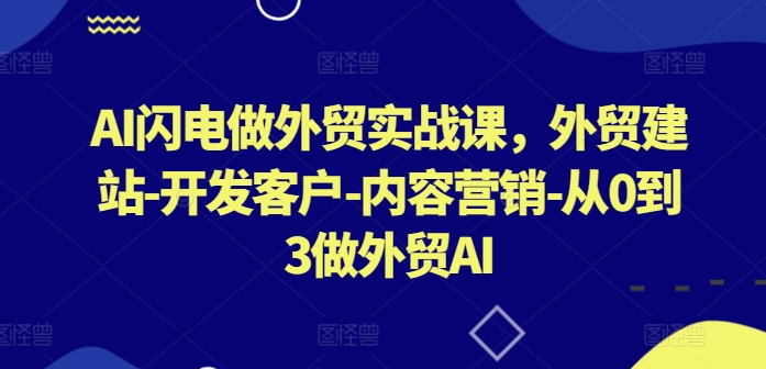 AI闪电做外贸实战课，​外贸建站-开发客户-内容营销-从0到3做外贸AI-紫爵资源库