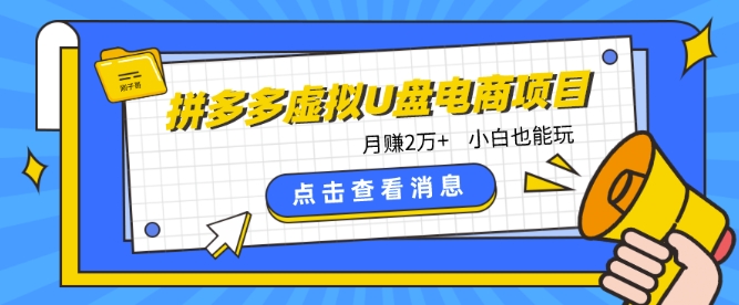 拼多多虚拟U盘电商红利项目：月赚2万+，新手小白也能玩-紫爵资源库