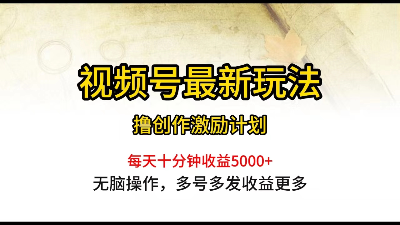 视频号最新玩法，每日一小时月入5000+-紫爵资源库