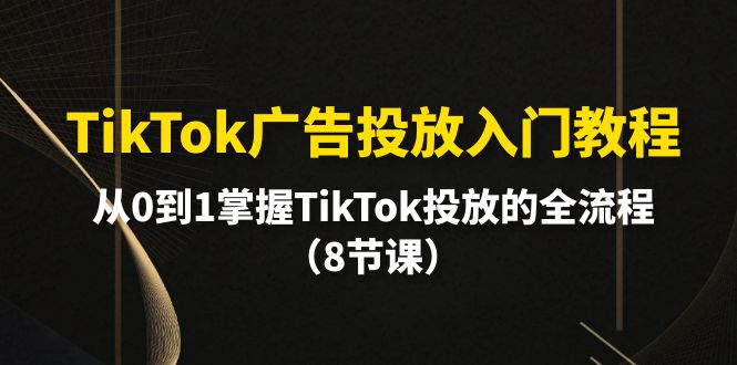 TikTok广告投放入门教程，从0到1掌握TikTok投放的全流程-紫爵资源库