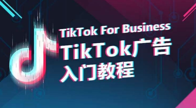 TikTok广告入门教程，从0到1掌握TikTok投放的全流程-紫爵资源库