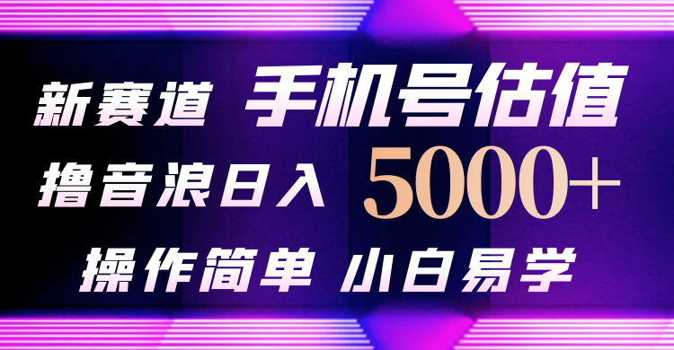 抖音不出境直播【手机号估值】最新撸音浪，日入5000+，简单易学，适合…-紫爵资源库