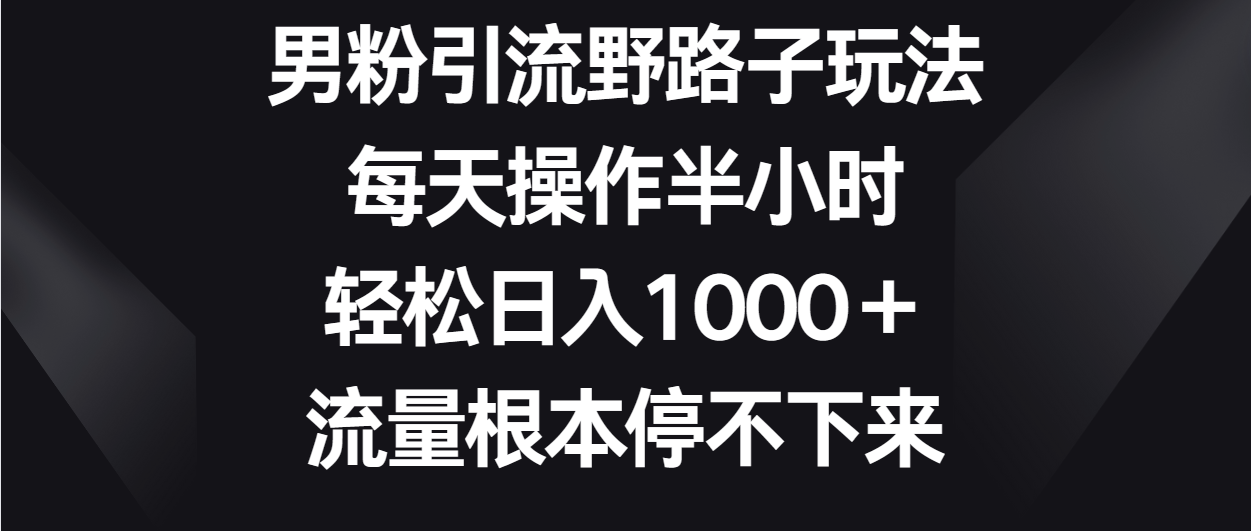 男粉引流野路子玩法，每天操作半小时轻松日入1000＋，流量根本停不下来-紫爵资源库