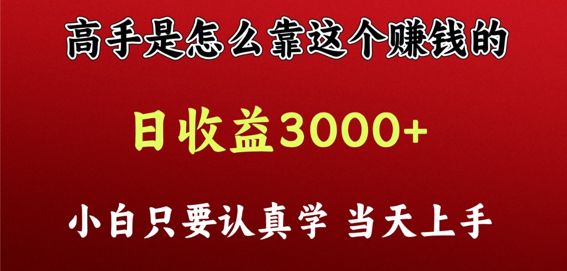 看高手是怎么赚钱的，一天收益至少3000+以上，小白当天上手-紫爵资源库