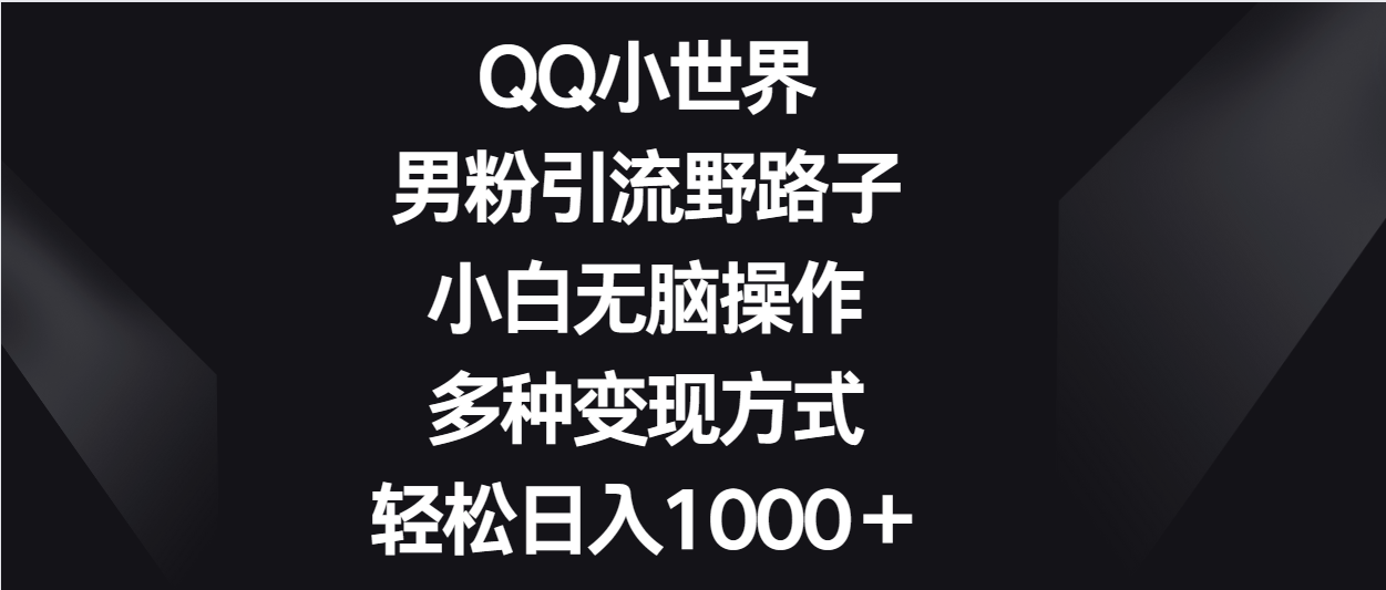 QQ小世界男粉引流野路子，小白无脑操作，多种变现方式轻松日入1000＋-紫爵资源库