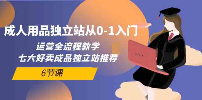 成人用品独立站从0-1入门，运营全流程教学，七大好卖成品独立站推荐（6节课）-紫爵资源库