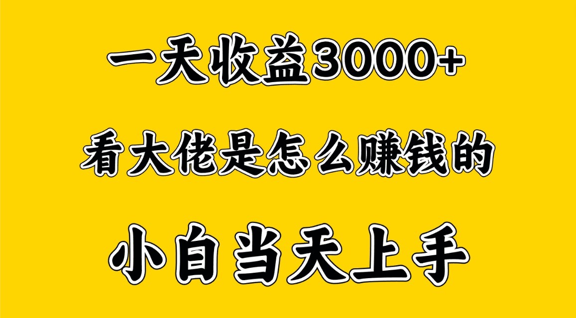 一天赚3000多，大佬是这样赚到钱的，小白当天上手，穷人翻身项目-紫爵资源库