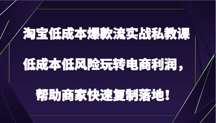 淘宝低成本爆款流实战私教课，低成本低风险玩转电商利润，帮助商家快速复制落地！-紫爵资源库