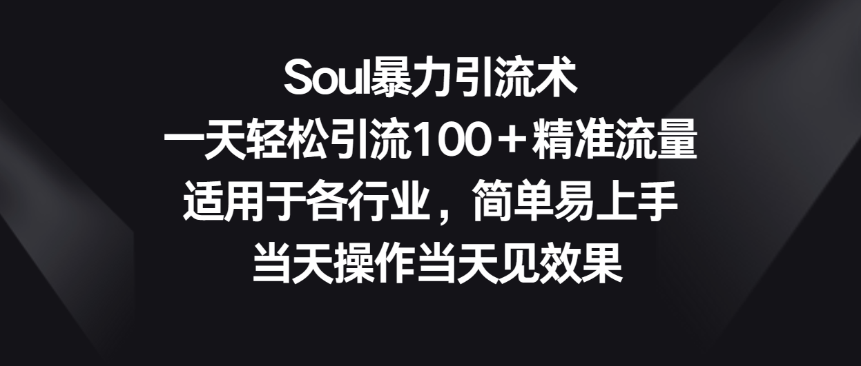 Soul暴力引流术，一天轻松引流100＋精准流量，适用于各行业，简单易上手！-紫爵资源库