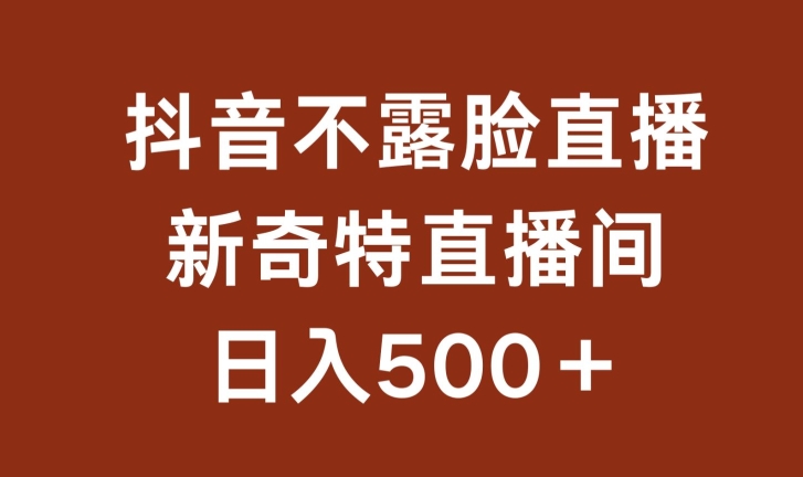 不露脸挂机直播，新奇特直播间，日入500+-紫爵资源库