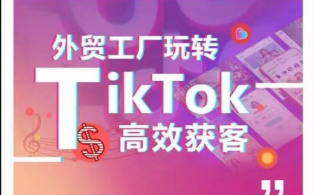 外贸工厂玩转TikTok高效获客，多种引流方式与账号定位技巧，拆解爆款短视频打造成功案例-紫爵资源库