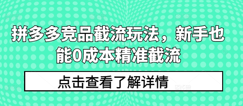 拼多多竞品截流玩法，新手也能0成本精准截流-紫爵资源库