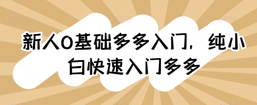 新人0基础多多入门，​纯小白快速入门多多-紫爵资源库