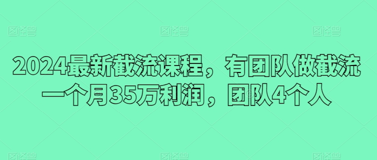 2024最新截流课程，有团队做截流一个月35万利润，团队4个人-紫爵资源库