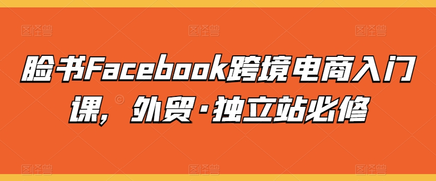 脸书Facebook跨境电商入门课，外贸·独立站必修-紫爵资源库