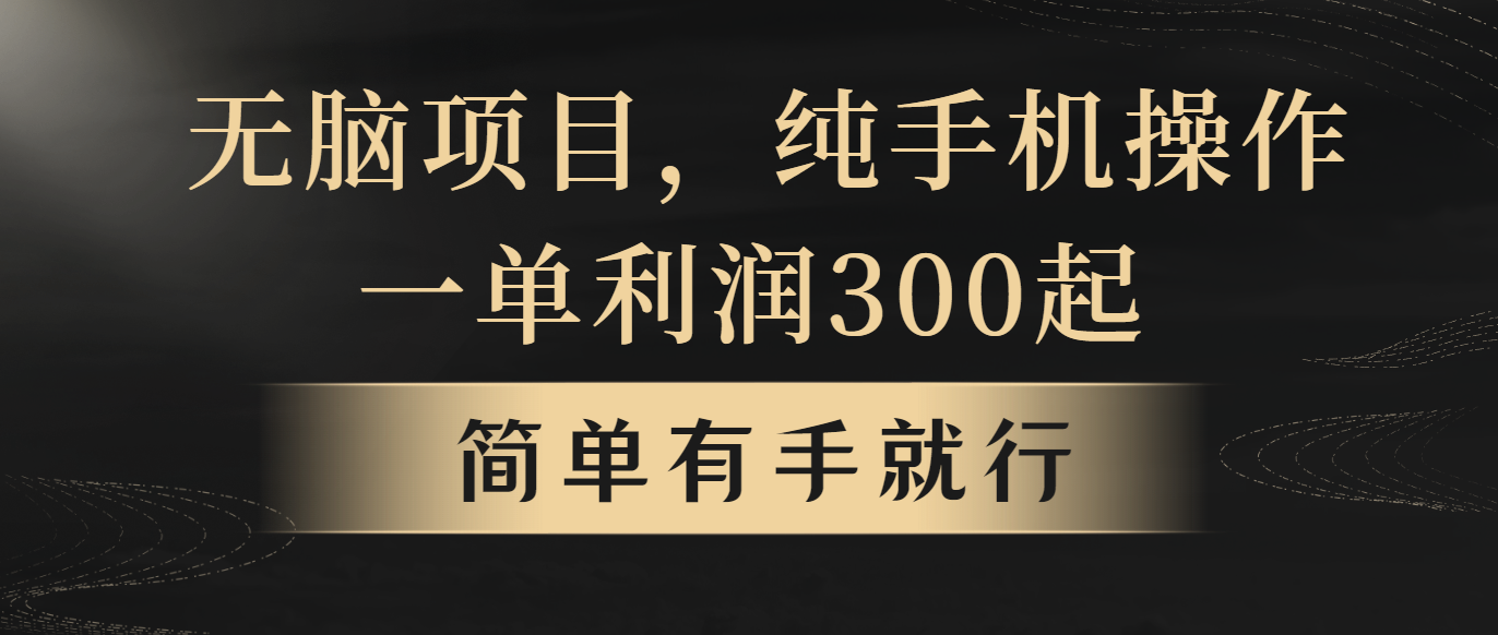 无脑项目，一单几百块，轻松月入5w+，看完就能直接操作-紫爵资源库