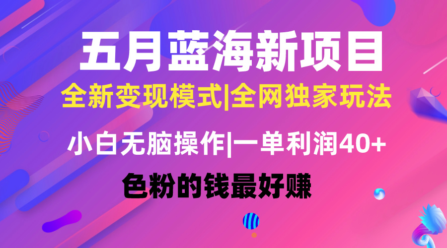 五月蓝海项目全新玩法，小白无脑操作，一天几分钟，矩阵操作，月入4万+-紫爵资源库