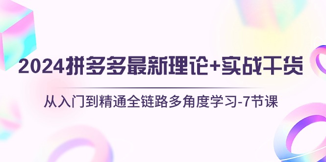 2024拼多多 最新理论+实战干货，从入门到精通全链路多角度学习-7节课-紫爵资源库