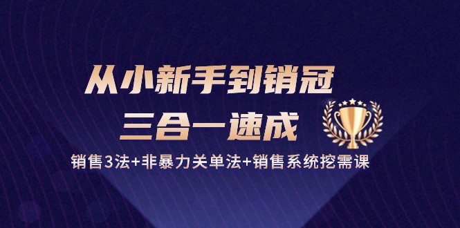 从小新手到销冠 三合一速成：销售3法+非暴力关单法+销售系统挖需课 (27节)-紫爵资源库