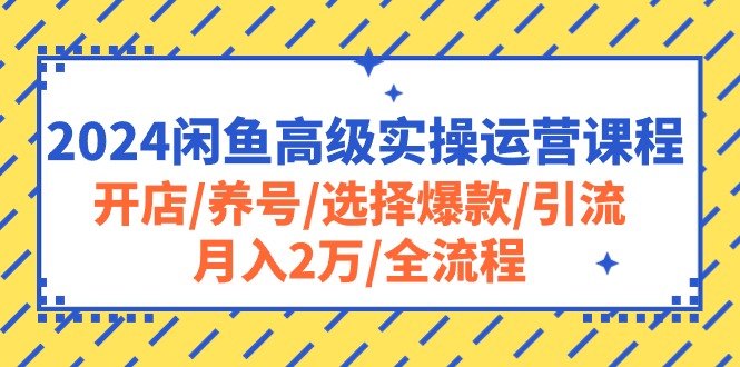 2024闲鱼高级实操运营课程：开店/养号/选择爆款/引流/月入2万/全流程-紫爵资源库