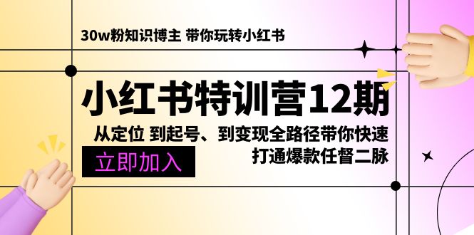 小红书特训营12期：从定位 到起号、到变现全路径带你快速打通爆款任督二脉-紫爵资源库