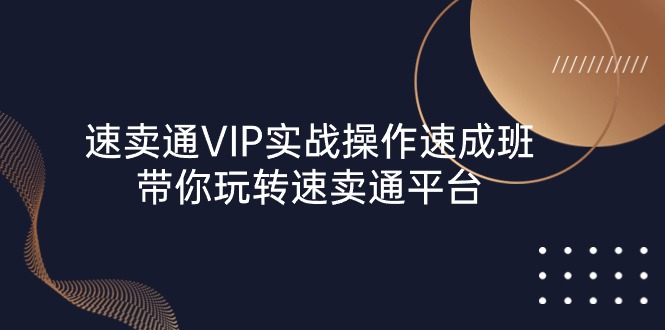 速卖通 VIP实战操作-速成班，带你玩转速卖通平台-紫爵资源库