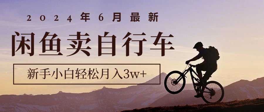 2024年6月最新闲鱼卖自行车，新手小白轻松月入3w+项目-紫爵资源库