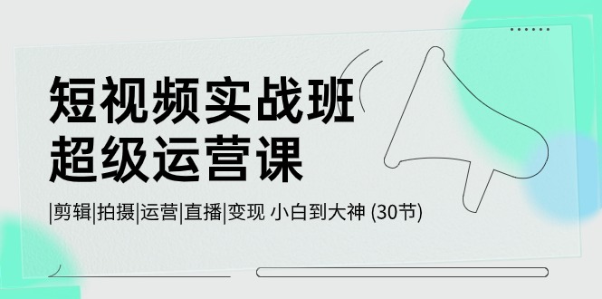 短视频实战班-超级运营课，|剪辑|拍摄|运营|直播|变现 小白到大神 (30节)-紫爵资源库