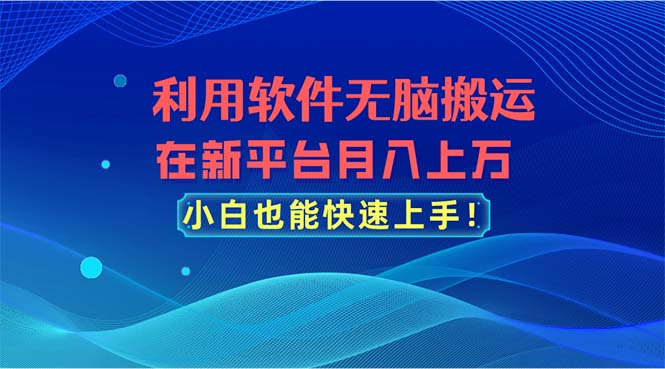 利用软件无脑搬运，在新平台月入上万，小白也能快速上手-紫爵资源库