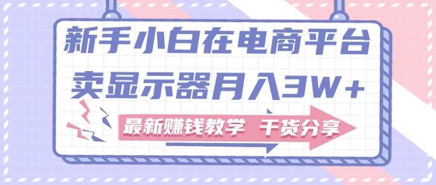 新手小白如何做到在电商平台卖显示器月入3W+，最新赚钱教学干货分享-紫爵资源库