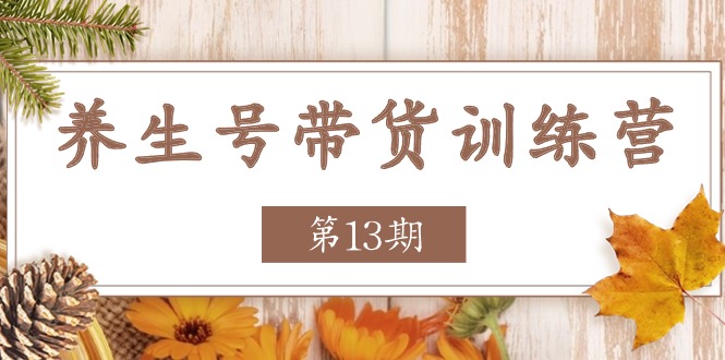 养生号-带货训练营【第13期】收益更稳定的玩法，让你带货收益爆炸-紫爵资源库