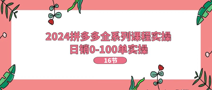 2024拼多多全系列课程实操，日销0-100单实操【16节课】-紫爵资源库