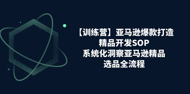 【训练营】亚马逊爆款打造之精品开发SOP，系统化洞察亚马逊精品选品全流程-紫爵资源库