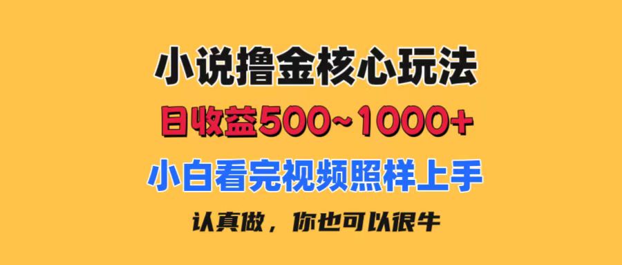 小说撸金核心玩法，日收益500-1000+，小白看完照样上手，0成本有手就行-紫爵资源库