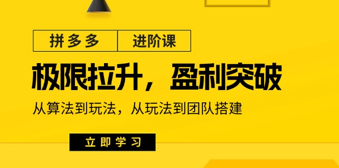 拼多多·进阶课：极限拉升/盈利突破：从算法到玩法 从玩法到团队搭建-18节-紫爵资源库