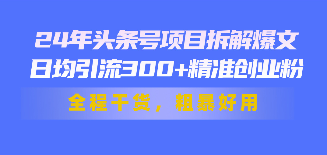 24年头条号项目拆解爆文，日均引流300+精准创业粉，全程干货，粗暴好用-紫爵资源库