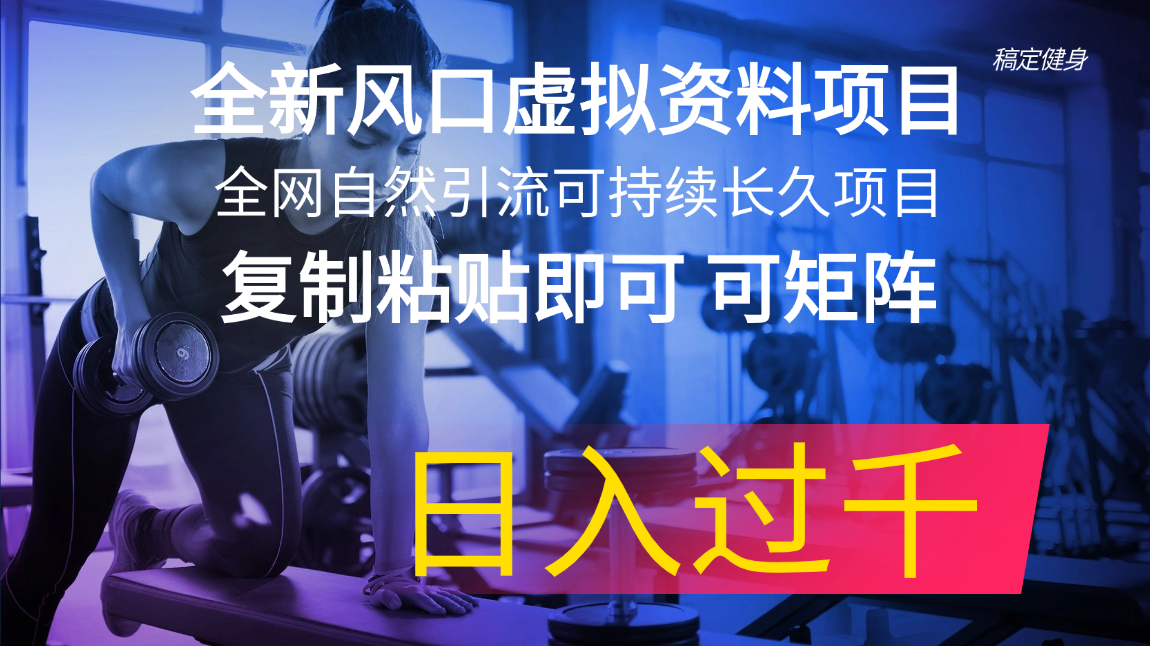 全新风口虚拟资料项目 全网自然引流可持续长久项目 复制粘贴即可可矩阵…-紫爵资源库