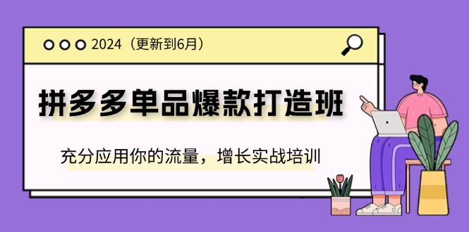 2024拼多多-单品爆款打造班(更新6月)，充分应用你的流量，增长实战培训-紫爵资源库