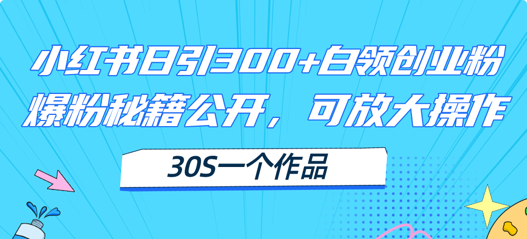 小红书日引300+高质白领创业粉，可放大操作，爆粉秘籍！30s一个作品-紫爵资源库