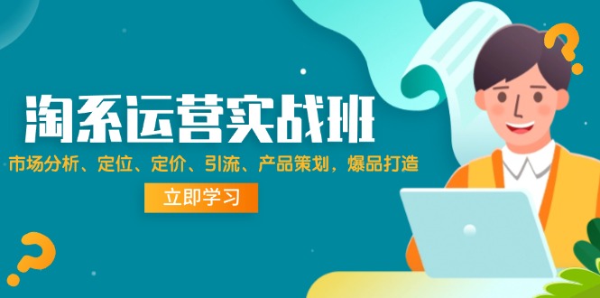 淘系运营实战班：市场分析、定位、定价、引流、产品策划，爆品打造-紫爵资源库